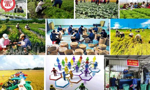 Luật Hợp tác xã phải tạo hành lang pháp lý thông thoáng cho các tổ chức kinh tế hợp tác