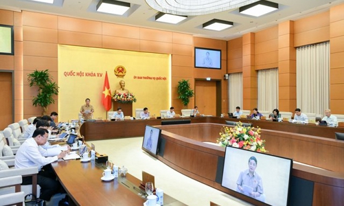 Bịt lỗ hổng gian lận trong hoạt động đấu thầu