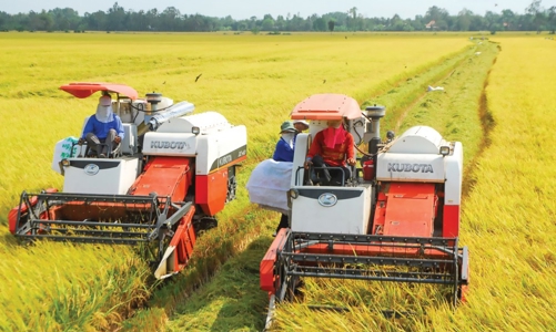 Hậu Giang nỗ lực giảm tỷ lệ hộ nghèo ở mức thấp nhất 