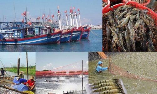 Kiến tạo không gian phát triển ngành hàng thủy sản