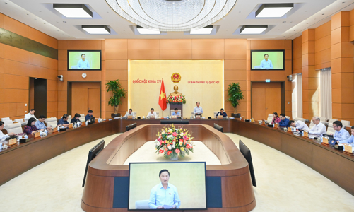 Sẽ giám sát việc huy động, quản lý và sử dụng các nguồn lực chống dịch