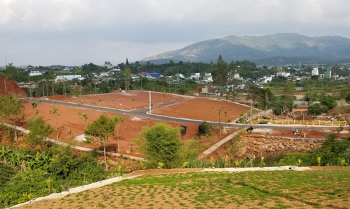 Lâm Đồng: Xử phạt nhân viên kinh doanh bất động sản lập fanpage giả mạo ngân hàng