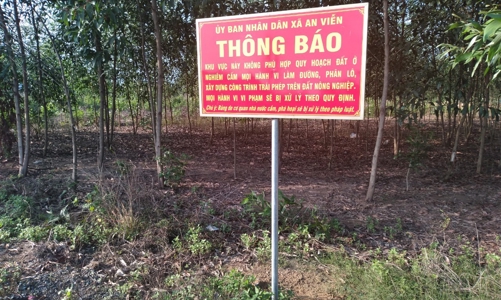 Đồng Nai xử lý nghiêm vi phạm đất đai