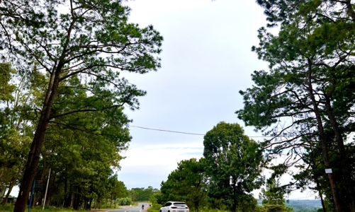 Lợi thế và tiềm năng phát triển du lịch của Đắk Song 