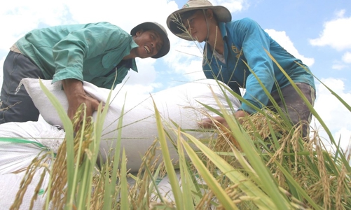 TP. HCM khơi dậy niềm tin, ý chí vươn lên thoát nghèo bền vững