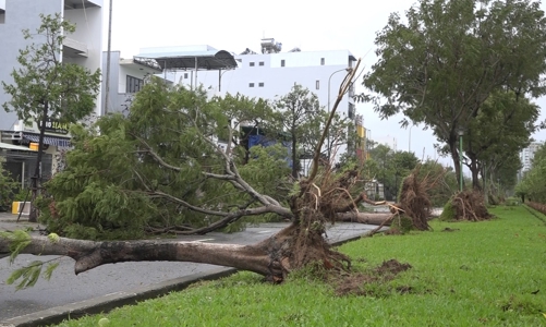 Tin mới nhất về bão Noru (bão số 4): Thiệt hại về tài sản của người dân Đà Nẵng giảm đến mức thấp nhất