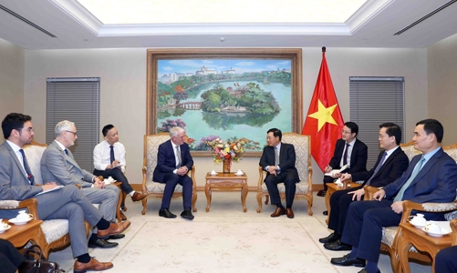 Đức cam kết hỗ trợ Việt Nam thực hiện các cam kết tại COP 26