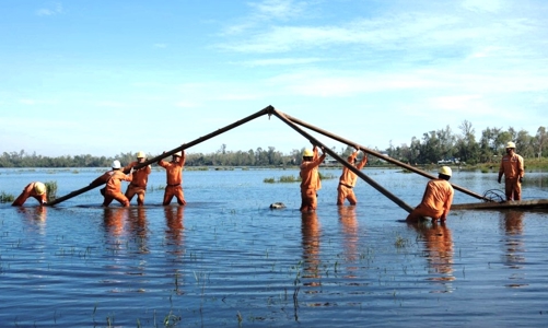 Toàn bộ khách hàng bị ảnh hưởng do bão số 4 (Noru) đã được cấp điện trở lại.