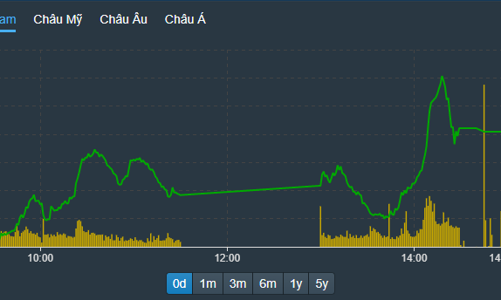 Không có hiệu ứng T+2, cổ phiếu lợi đà tăng ào ạt