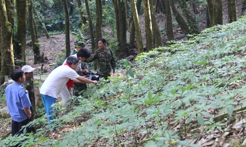 Xây dựng Đề án hình thành Trung tâm Công nghiệp dược liệu Quảng Nam 