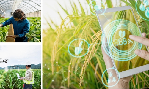 Quét sạch môi trường, kết hợp chuyển đổi số để có nông thôn mới thông minh