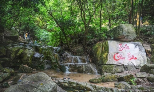 Vì sao nước suối tại Côn Sơn ngày càng khan hiếm?