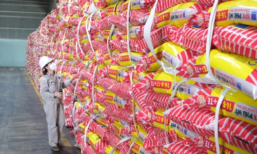 DPM lãi 5.300 tỷ đồng trong 9 tháng, tăng gấp 3 so với cùng kỳ