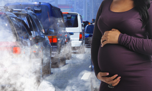 Bụi mịn có thể tác động tiêu cực đến từng tế bào