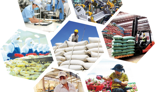 Định vị thương hiệu sản phẩm Việt trên thị trường xuất khẩu