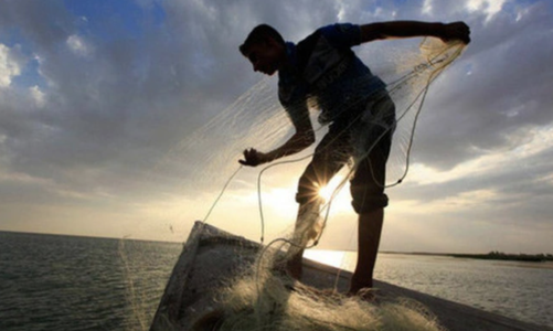 Thị trường xuống đáy 20 tháng, nhà đầu tư tháo chạy, lãnh đạo doanh nghiệp tung tiền gom cổ phiếu