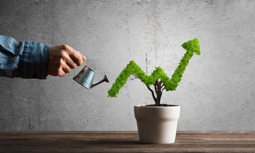 Khi những ông lớn bán lẻ thực hành “tiếp thị xanh”