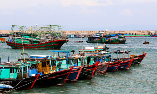 Quảng Ninh nỗ lực gỡ tiêu chí cảnh báo cuối cùng về vi phạm IUU