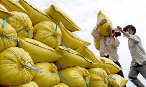 Thiên tai, thời tiết bất lợi sẽ đẩy giá gạo tiếp tục tăng mạnh đến giữa năm 2023?