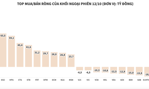 Khối ngoại tung hơn 465 tỷ đồng để kéo thị trường