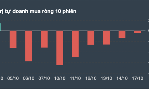 Tự doanh xả ròng phiên thứ 9 liên tiếp, giá trị lũy kế hơn 3.000 tỷ đồng 