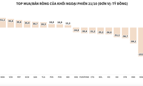 Khối ngoại cũng đua bán ròng trong ngày thị trường đỏ lửa