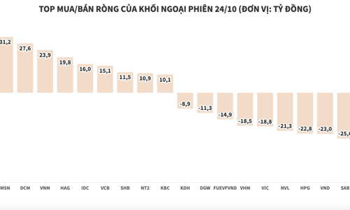 Khối ngoại trở lại gom ròng hơn 108 tỷ đồng trong ngày ngày thị trường lao dốc