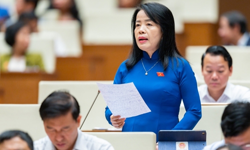 Tránh chồng chéo, cần đề nghị rõ số lượng thanh tra trong năm