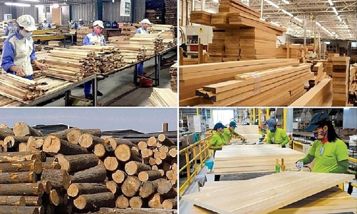 Thúc đẩy chuỗi giá trị gỗ hợp pháp và bền vững tại Việt Nam