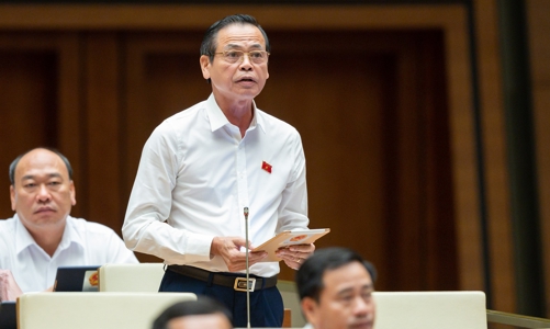 Đại biểu Quốc hội: 