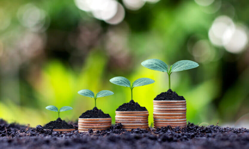 Chính phủ là chìa khóa thúc đẩy nền kinh tế xanh cho hệ sinh thái fintech châu Á