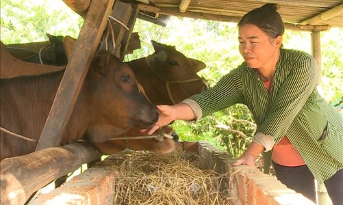 Quảng Bình: Triển khai đồng bộ nhiều giải pháp giúp thoát nghèo bền vững