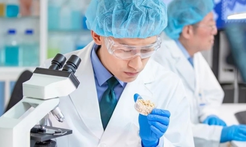 Hệ sinh thái khởi nghiệp Kyoto mở đường đổi mới cho công nghệ sâu ở Nhật Bản 