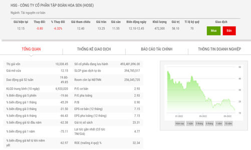 Giá giảm hơn 70%, thêm một lãnh báo bán ra cổ phiếu HSG