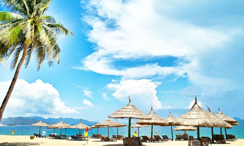 Du lịch phục hồi, Vietravel thoát lỗ trong quý 3/2022