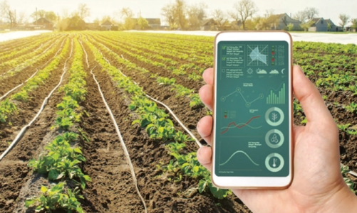 Chuyển đổi số để khắc phục những “hố đen” trong sản xuất nông nghiệp