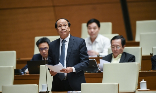 Phó Thủ tướng Lê Văn Thành: Tỷ lệ đất cây xanh ở các đô thị đều thấp