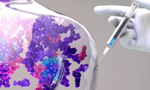 Những liệu pháp miễn dịch điều trị ung thư gây chú ý