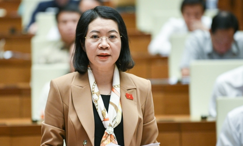 Đại biểu Quốc hội yêu cầu quy định rõ khi nào cần thiết phải thu hồi đất