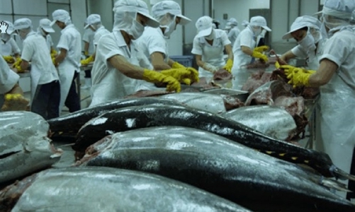 30 doanh nghiệp Nhật Bản tìm kiếm cơ hội nhập khẩu nông thủy sản Việt Nam