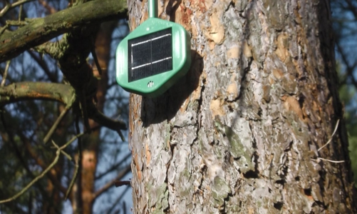 Phát minh “mũi nhân tạo” giúp phát hiện cháy rừng