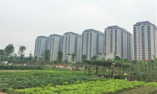 Chuyển 14 nhóm hàng hóa, dịch vụ Nhà nước định giá sang thực hiện theo cơ chế giá thị trường