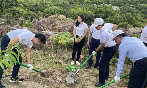 Ninh Thuận hưởng ứng chiến dịch “Trồng 1 tỷ cây xanh - Vì một Việt Nam xanh”