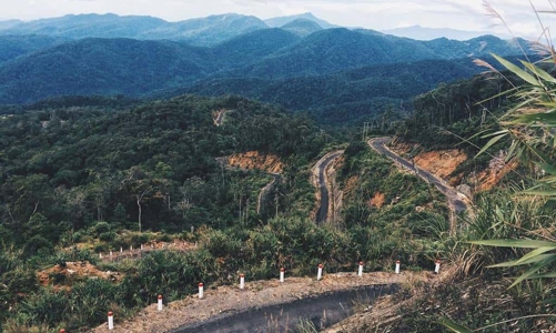 Khánh Hòa được thí điểm về thủ tục chuyển mục đích sử dụng rừng sản xuất dưới 1.000 ha sang mục đích khác