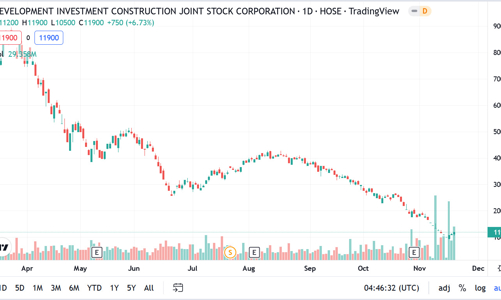 Đến lượt em dâu Chủ tịch bị bán giải chấp 15.000 cổ phiếu DIG