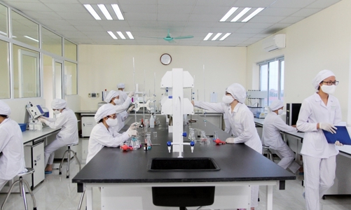 Quả ngọt từ chiến lược sóng đôi Đông dược - Tân dược của Traphaco