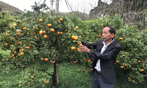 Hệ sinh thái hỗ trợ phụ nữ, thanh niên dân tộc thiểu số khởi nghiệp 