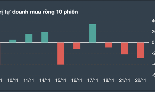 NVL được giải cứu, tự doanh cũng bắt đáy gom ròng gần 40 tỷ đồng