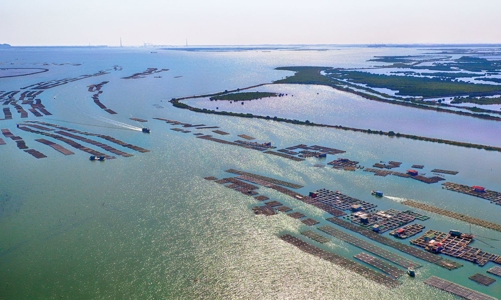 Ninh Thuận thành lập Khu kinh tế ven biển phía Nam với tổng diện tích 43.900 ha