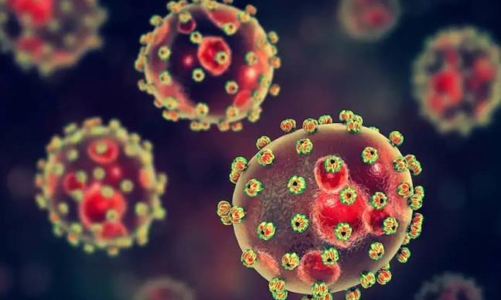 WHO cập nhật các mầm bệnh có nguy cơ bùng phát thành đại dịch 